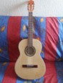 /album/fotogaleria-inicio/aguacate-fileteado-jpg2/